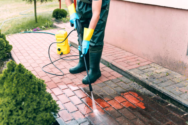 Best Pressure Washing Company Near Me  in St Marys, OH